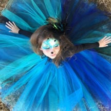 Make this dramatic tutu for a simple, but stunning Peacock Costume!