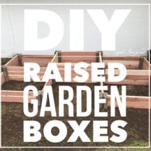 Fast and Easy DIY Raised Garden Boxes