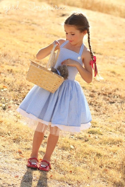 Blue and white gingham dress dorothy best sale