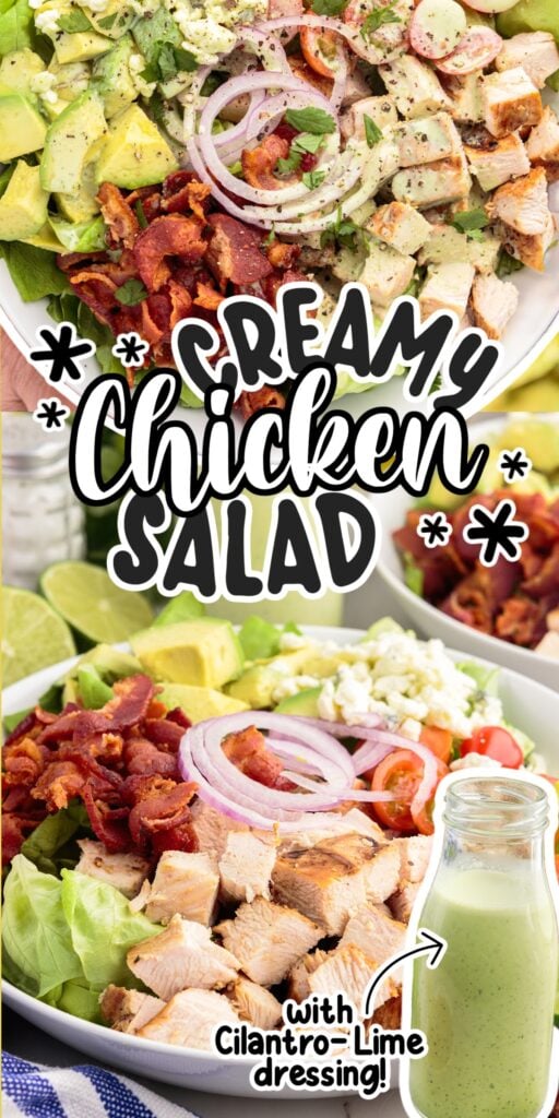 A large chopped chicken salad with creamy cilantro lime dressing.