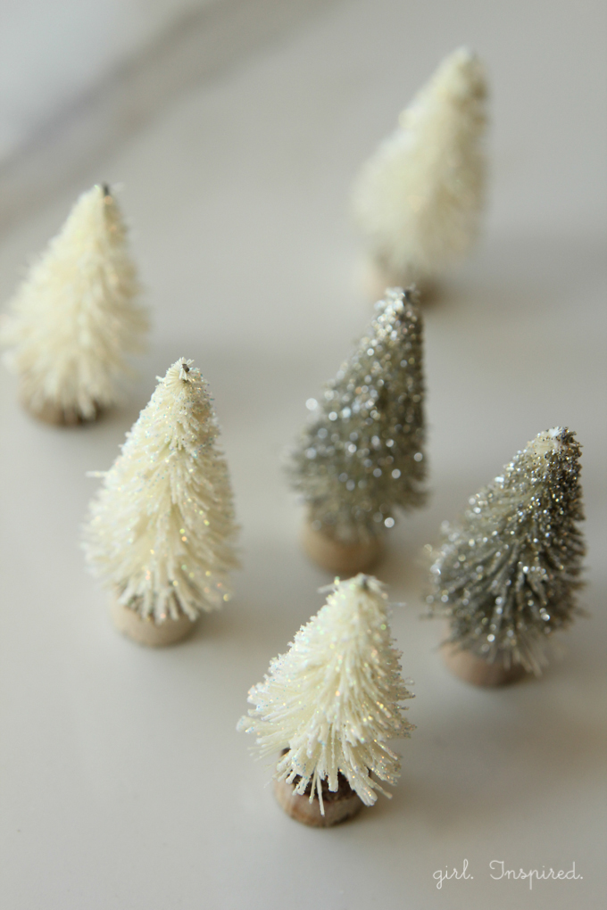 Snow Globe Ornaments - these are so pretty!