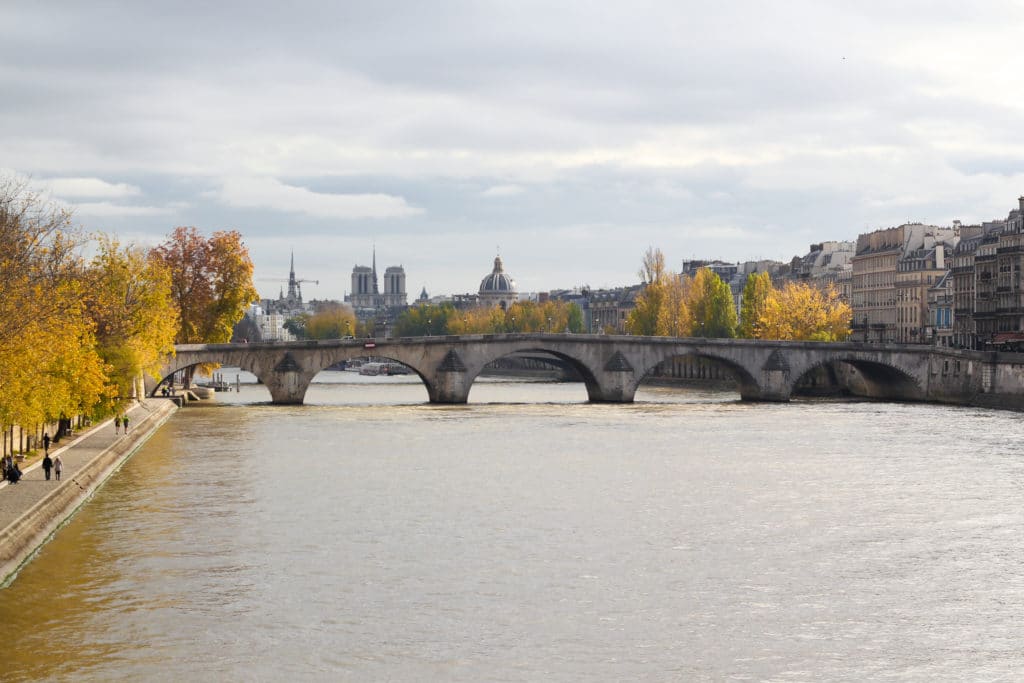 view of Seine River in Pairs