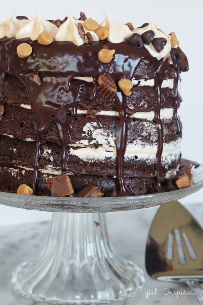Peanut Butter Chocolate Layer Cake - a peanut butter lover's dream cake! Layers of fluffy chocolate cake, creamy peanut butter buttercream, and rich chocolate ganache!