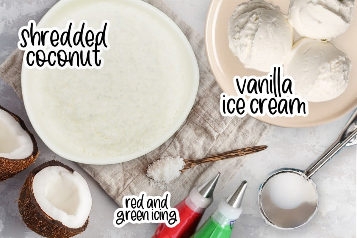 Individual ingredients for snowball ice cream, with text labels.