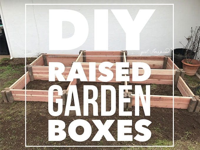 Fast and Easy DIY Raised Garden Boxes