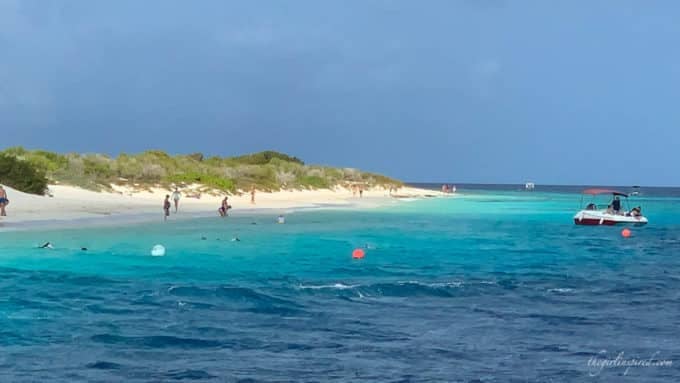 A Perfect Day in Bonaire