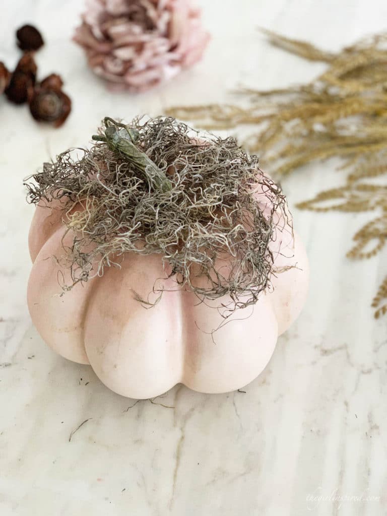 Use Spanish moss for the foundation for Halloween pumpkin crafts