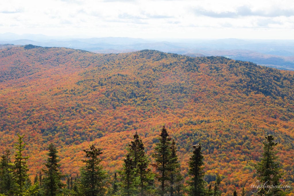 Fall Foliage Vermont Burke Mountain