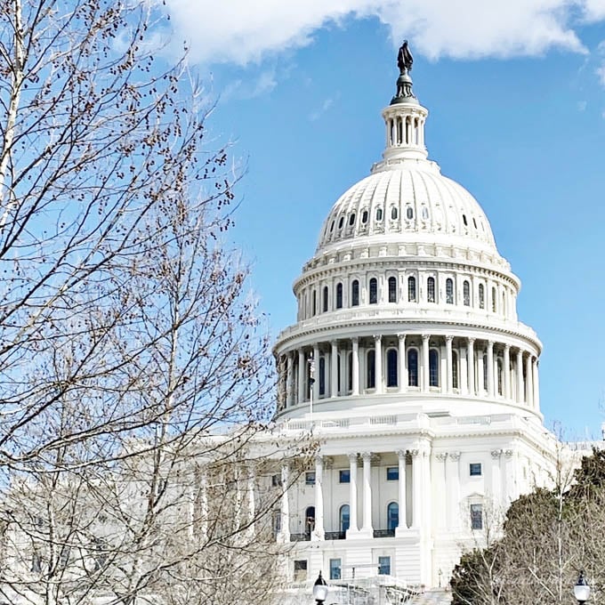 white dome architectural photo of nation's capital building with tree in forefront and blue sky