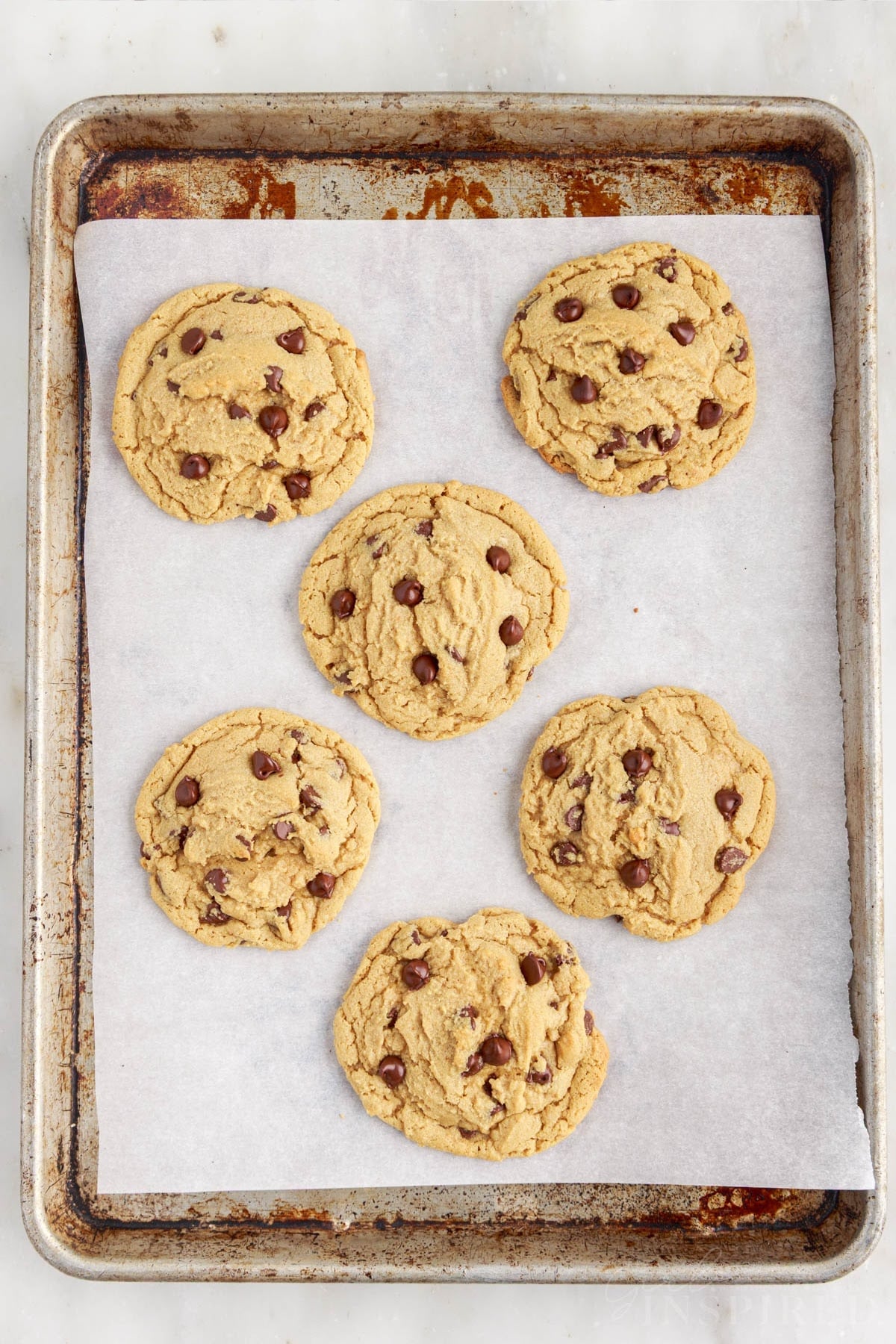 Baked peanut butter and chocolate chip cookies on a parchment-lined baking tray.