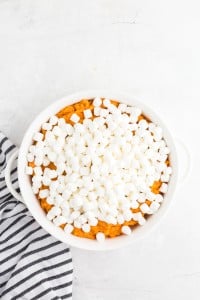 mini marshmallows spread over mashed sweet potatoes in casserole dish
