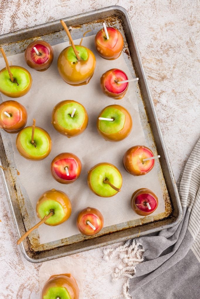 overhead view of baking sheet with green and red caramel apples