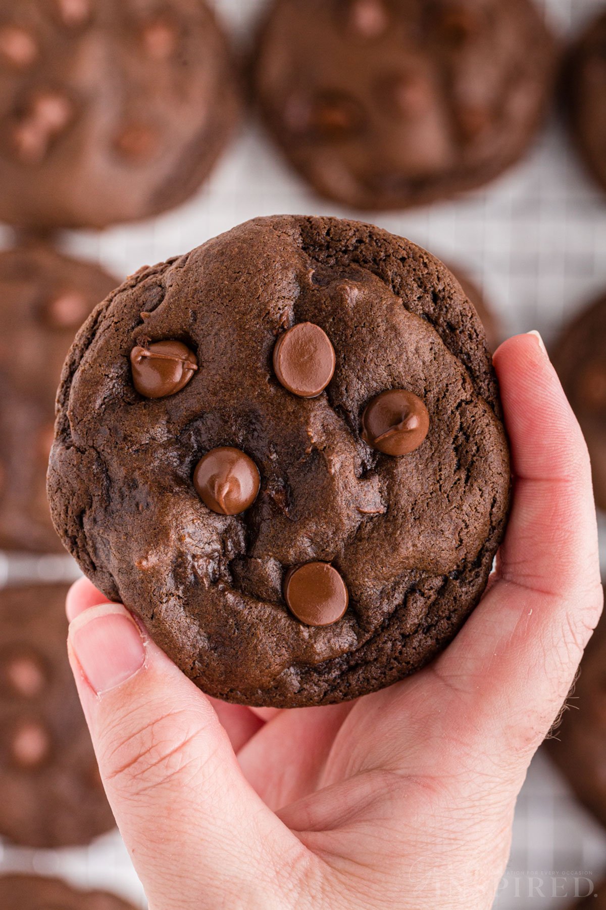 Holding a double chocolate chip cookie over a rack of cooling cookies.