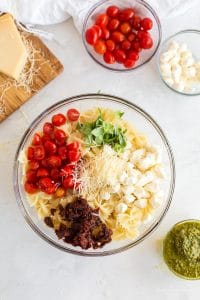 separate ingredients - cherry tomatoes, sundried tomatoes, basil, mozzarella,and parmesan in piles atop bowtie pasta in a glass bowl
