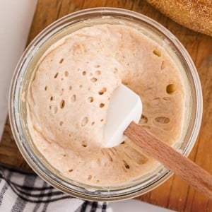 sourdough starter in a small glass bowl with bubbles visible.