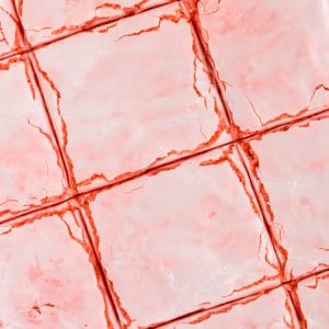 close up overhead of strawberry brownies