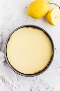 baked lemon cheesecake removed from the oven to cool in the refrigerator