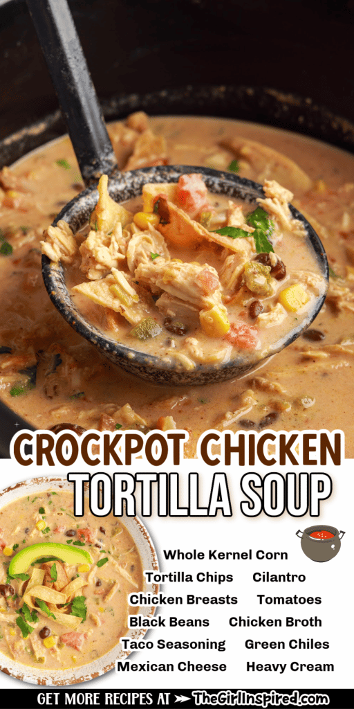 Dump and Go Crock-Pot Recipe {Delicious Cheesy Chicken Taco Soup}