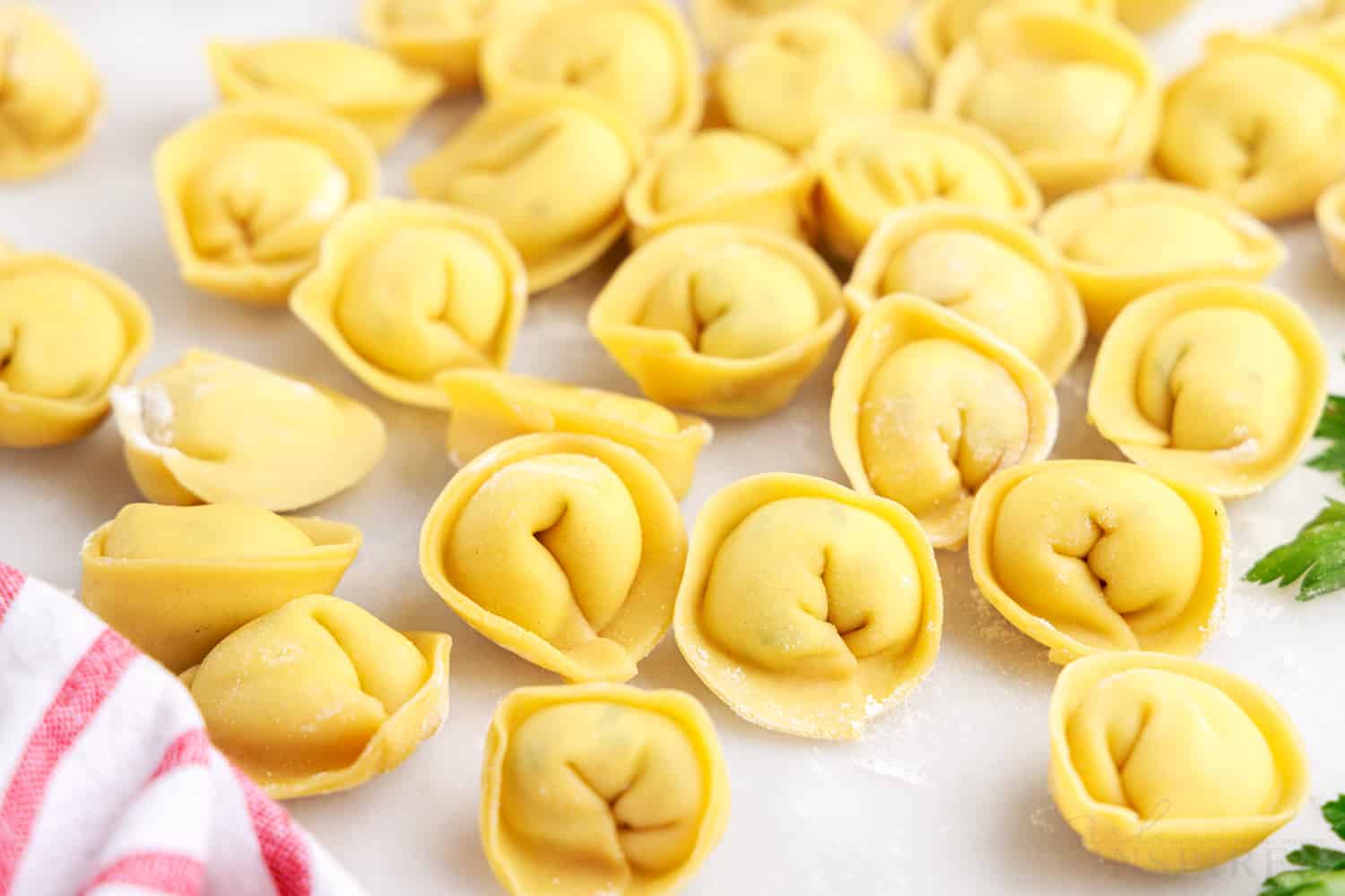 grouping of uncooked tortellinis