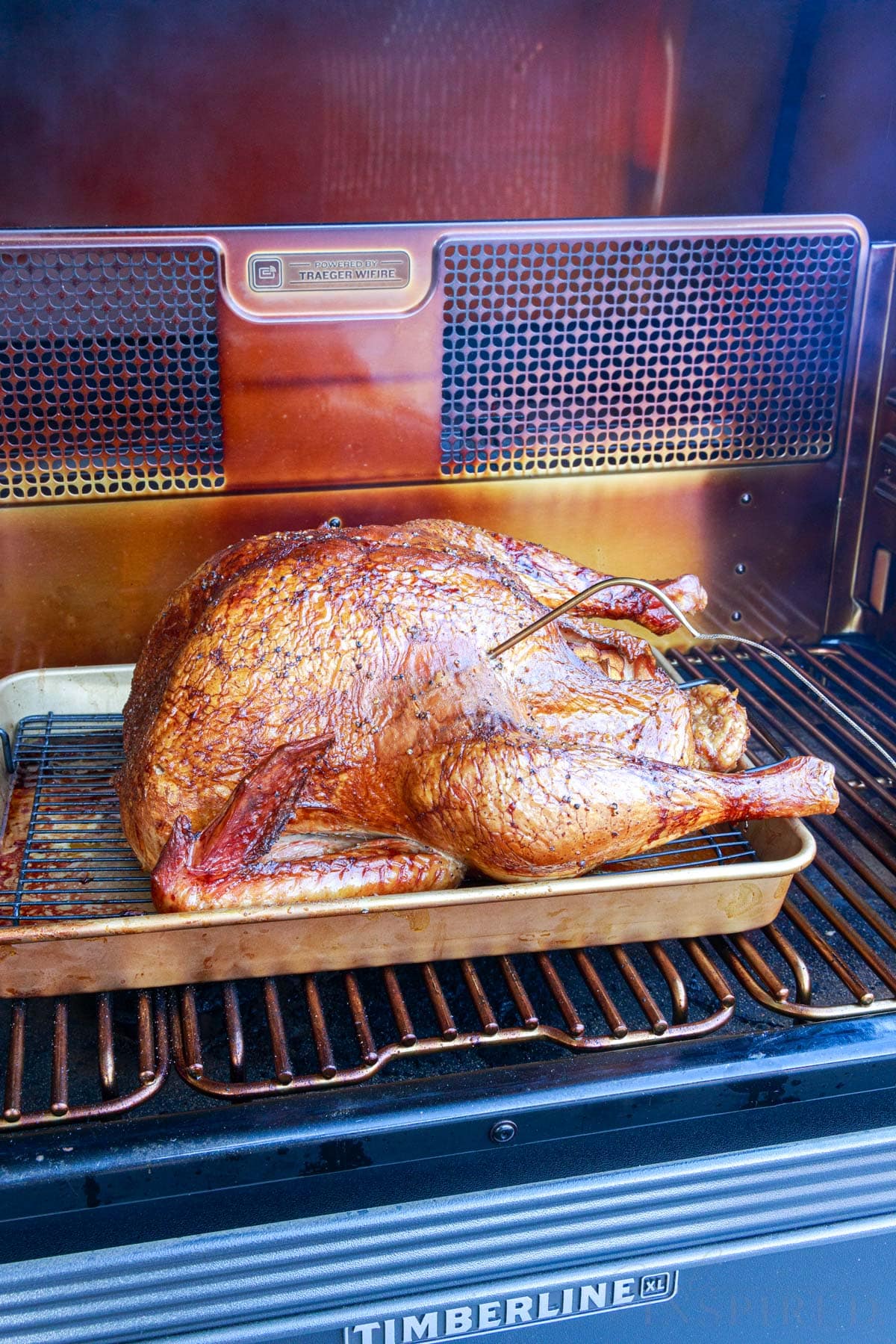 easy smoked turkey on the smoker with a thermometer in a breast