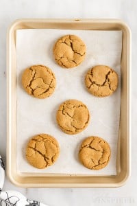 six molasses crinkle cookies on a cookie sheet after being baked