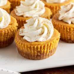 Mini pumpkin cheesecakes on white serving platter, topped with whipped cream.
