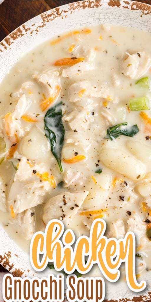 Top close up view of a bowl full of creamy chicken gnocchi soup