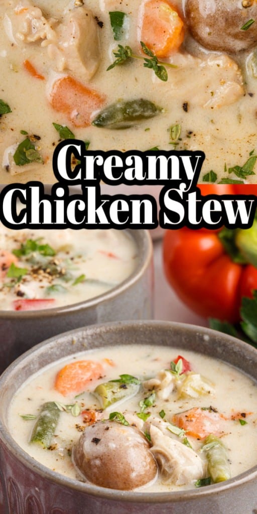 Side shot of two cups full of creamy chicken stew
