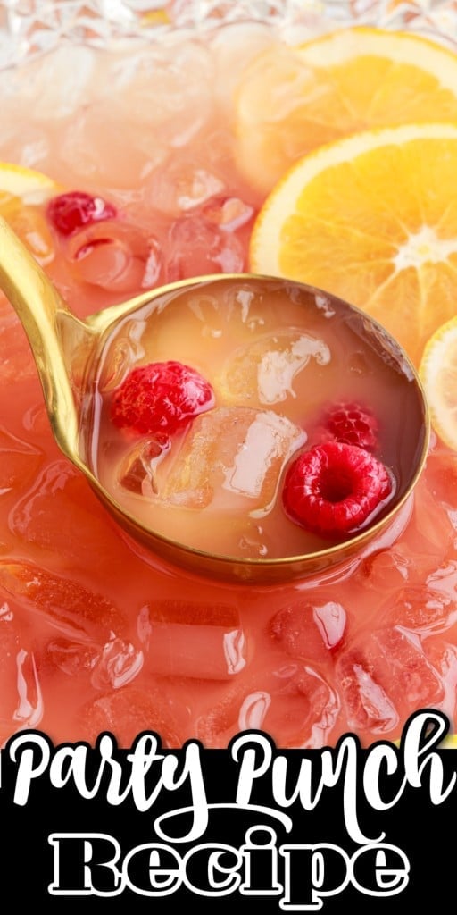 Low-Sugar Easy Party Punch Recipe - The Crazy Craft Lady