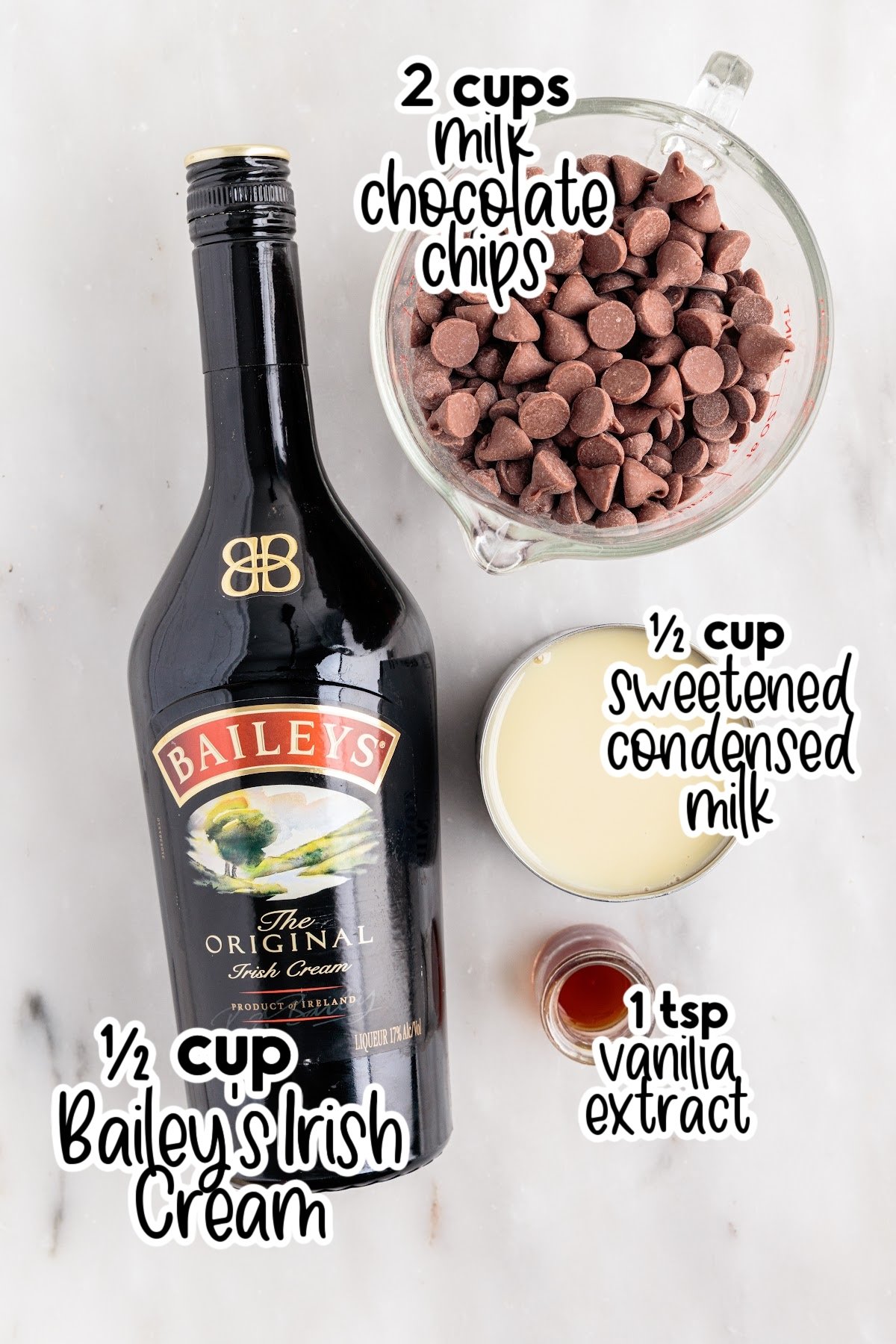 Bottle of Bailey's Irish cream liqueur, bowl of chocolate chips, can of sweetened condensed milk and jar of vanilla extract with text labels.