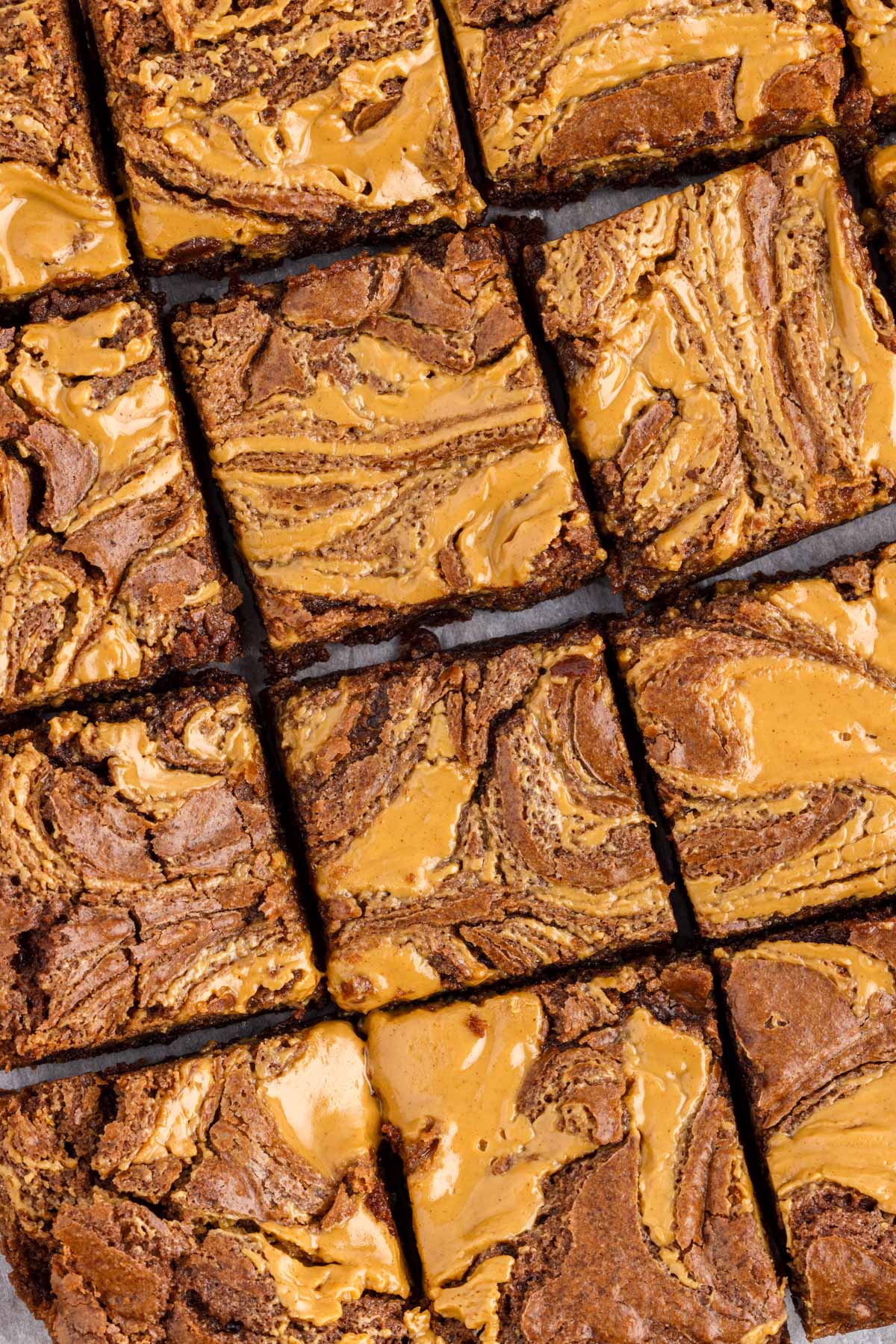 top close up of peanut butter brownies cut into squares