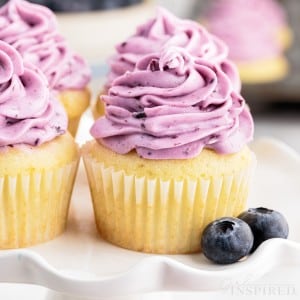 Front view of cupcakes topped with Blueberry Cream Cheese Frosting on a small dish.