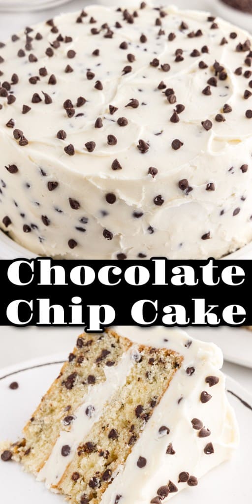 Front view of Chocolate Chip Cake and a slice of it on a white serving plate