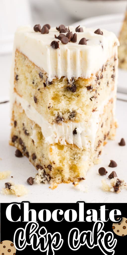 Front view of a slice of Chocolate Chip Cake with a bite missing.