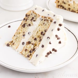 A small white dish with a slice of Chocolate Chip Cake on it.