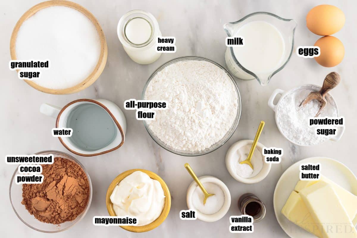 Ingredients needed to make Chocolate Mayonnaise Cake.