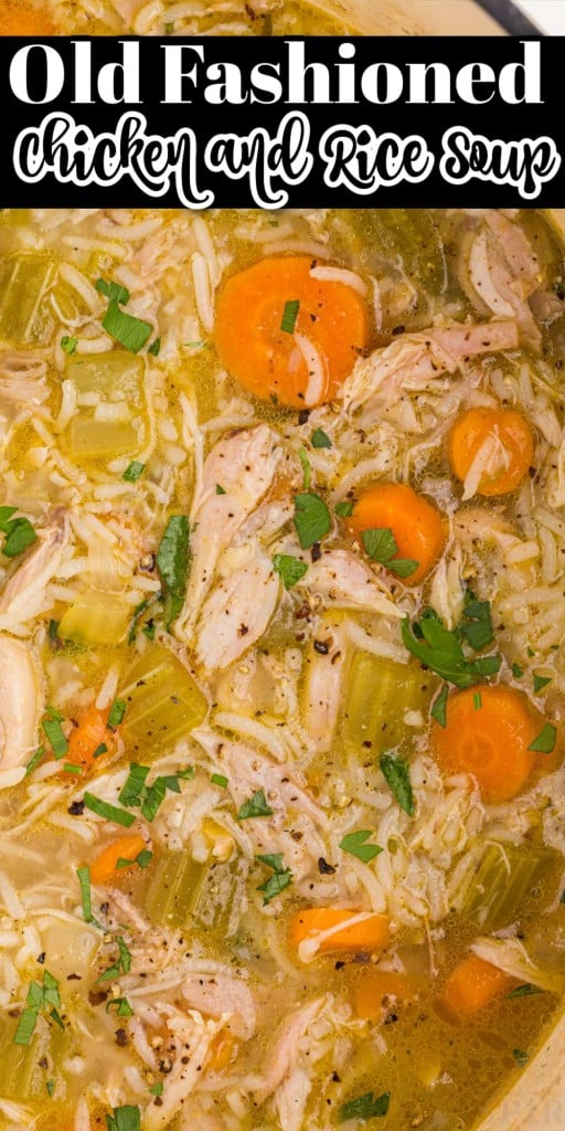Close up of Old Fashioned Chicken and Rice Soup.