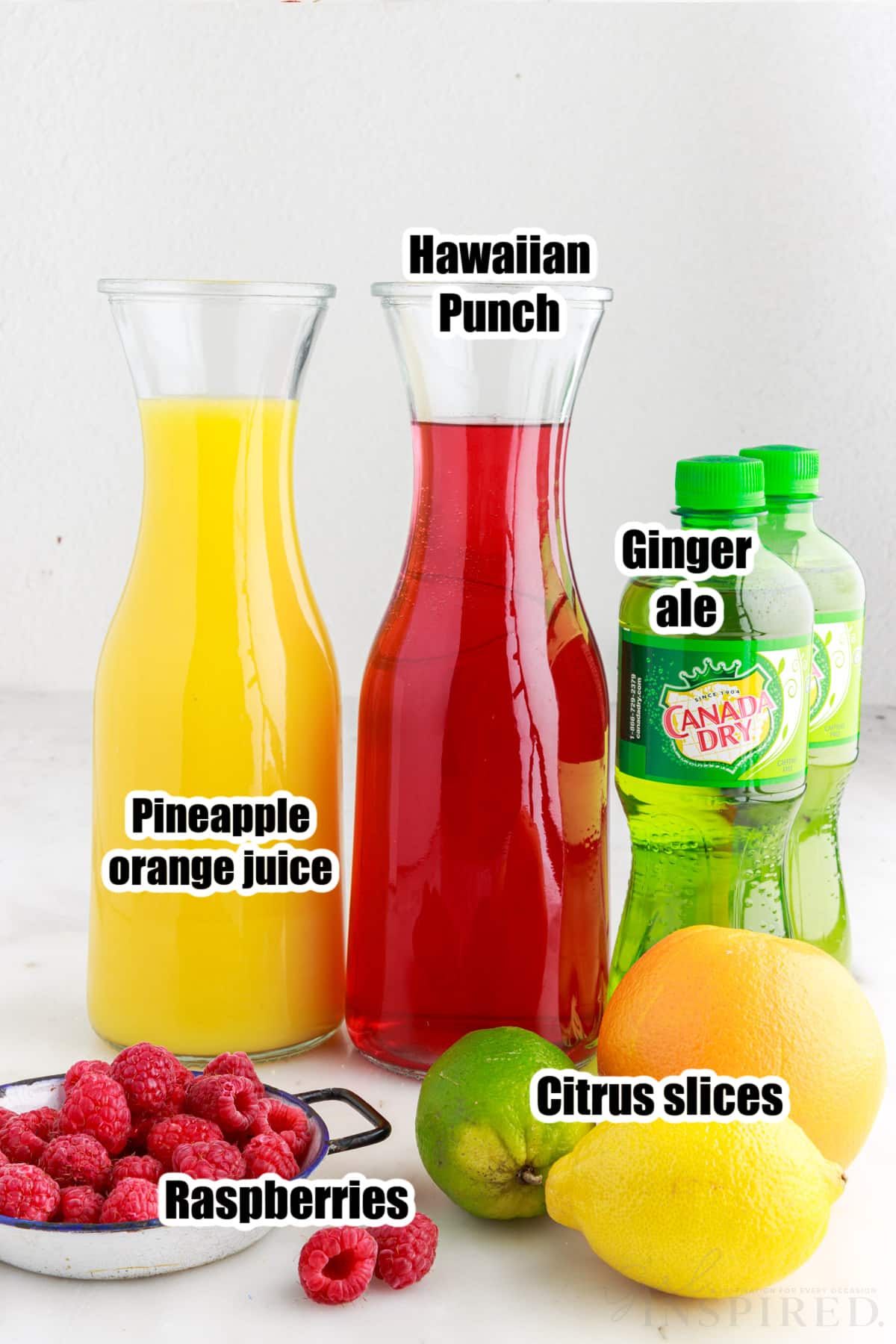 Individual ingredients set out for the party punch recipe.