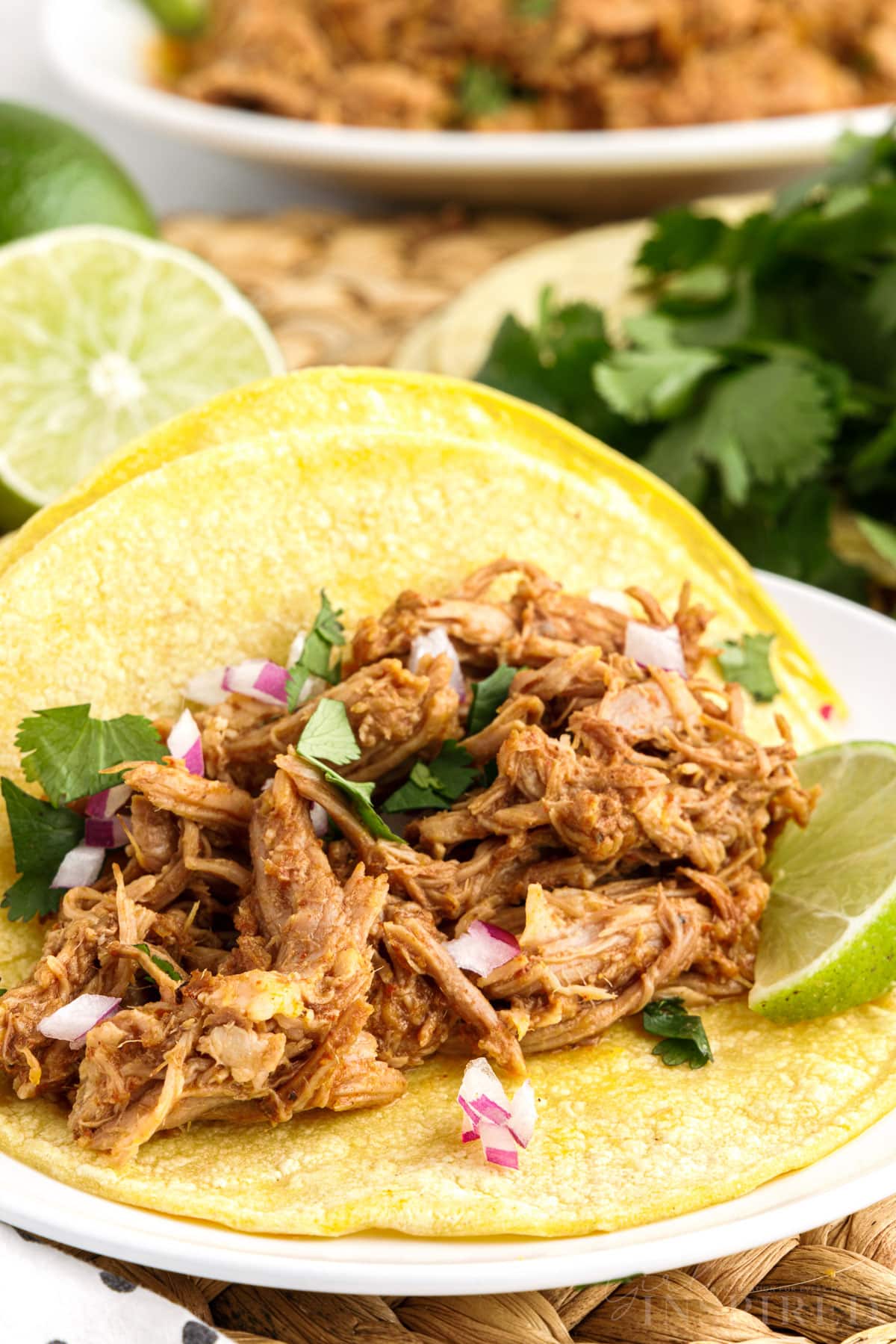 Soft taco shells full of Pork Barbacoa on a plate.