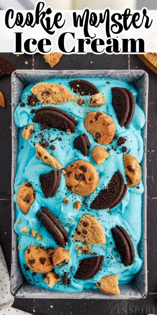 Overhead view of Cookie Monster Ice Cream.