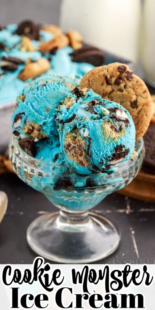 Cookie Monster Ice Cream in a decorative ice cream dish.