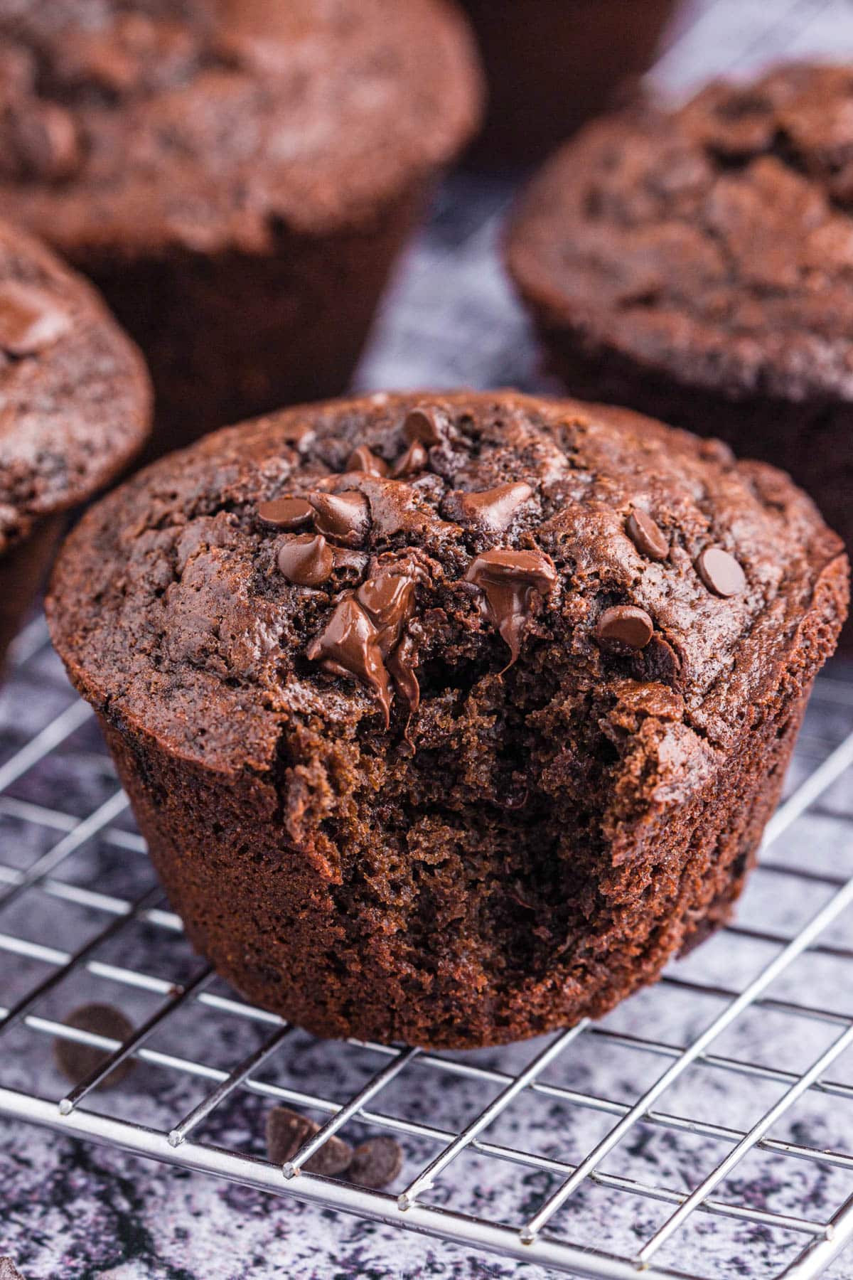 Close up of baked double chocolate muffins cooling on a wire rack, front muffin with a bite removed from it. 