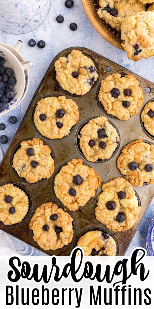 Overhead view of a muffin tin of freshly baked Sourdough Blueberry Muffins.