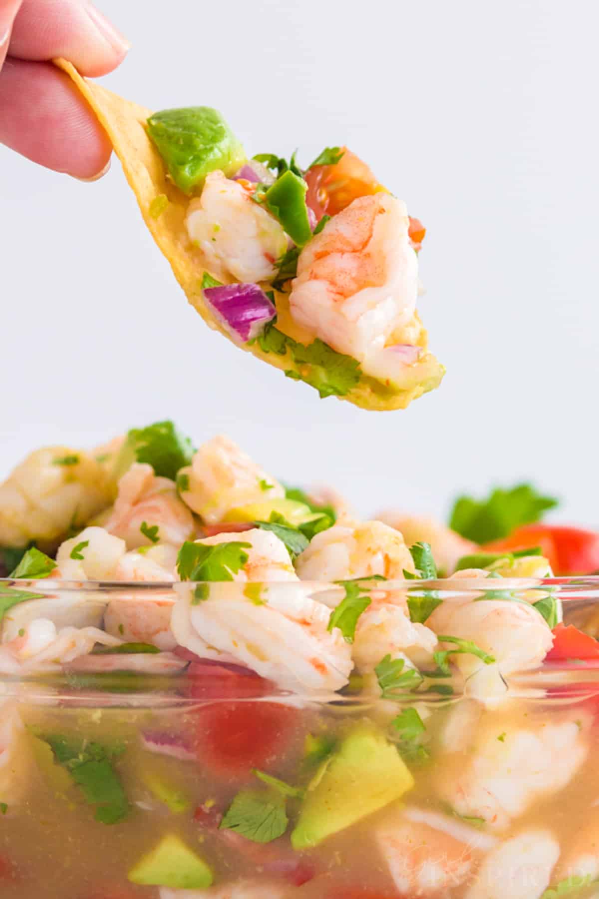 Scoop of shrimp ceviche on a tortilla chip held over serving bowl.