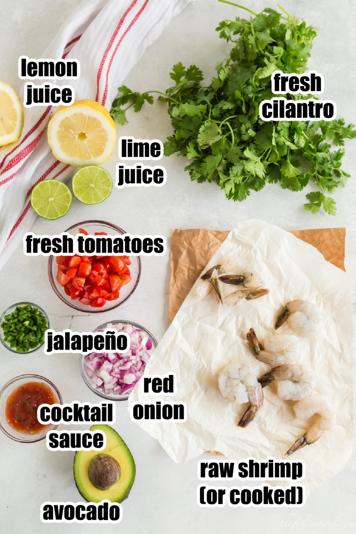 Individual ingredients for mexican shrimp ceviche recipe with text labels.