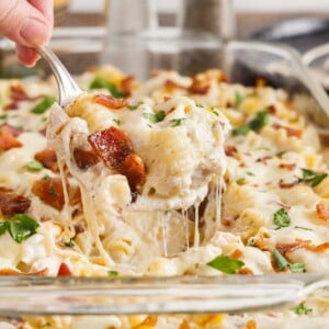 Close up of a spoonful of Chicken Bacon Ranch Casserole from a casserole dish.