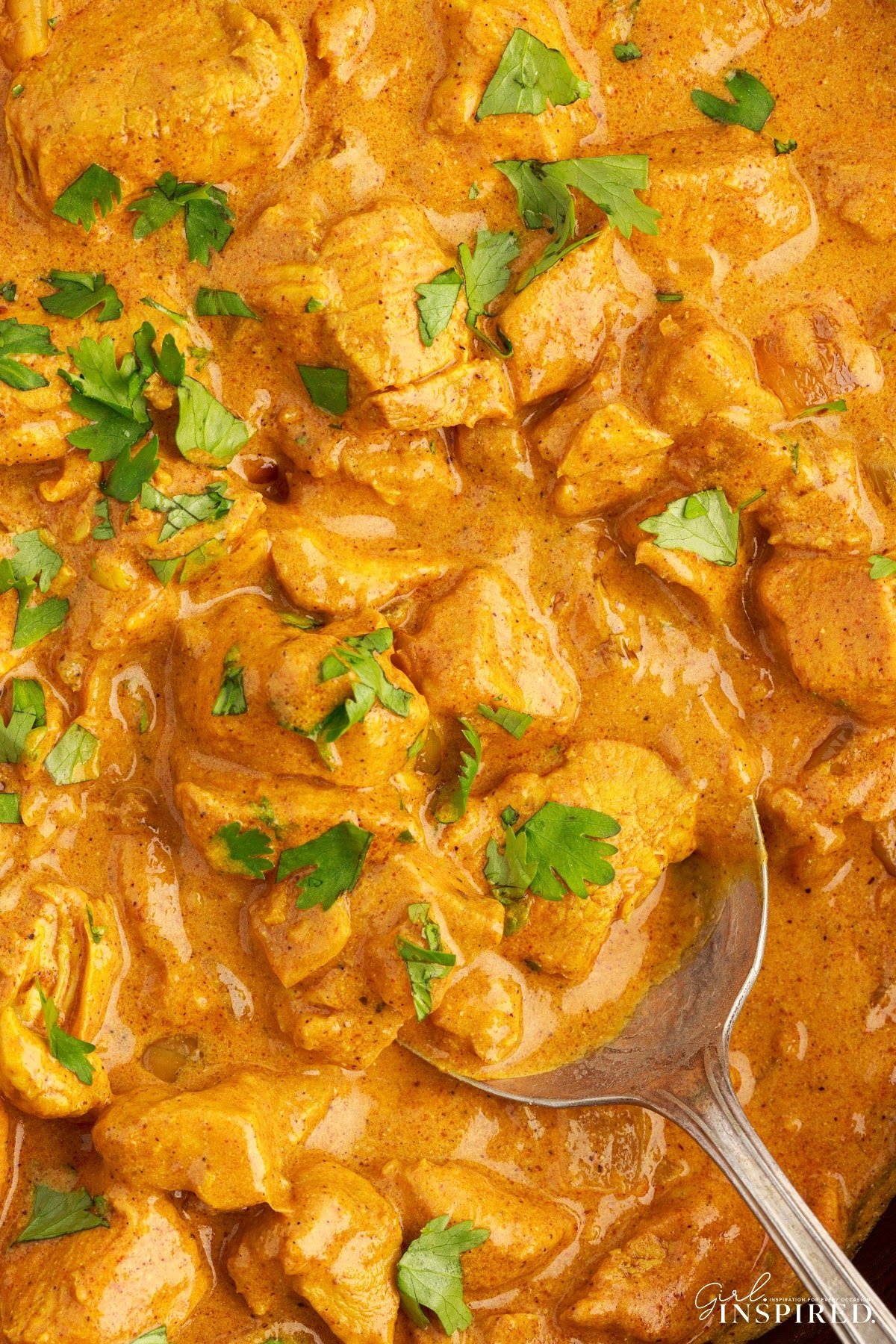 Overhead close up of Curry Chicken.