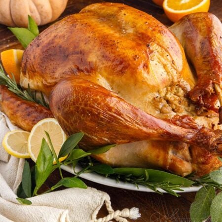 Whole turkey on a platter.