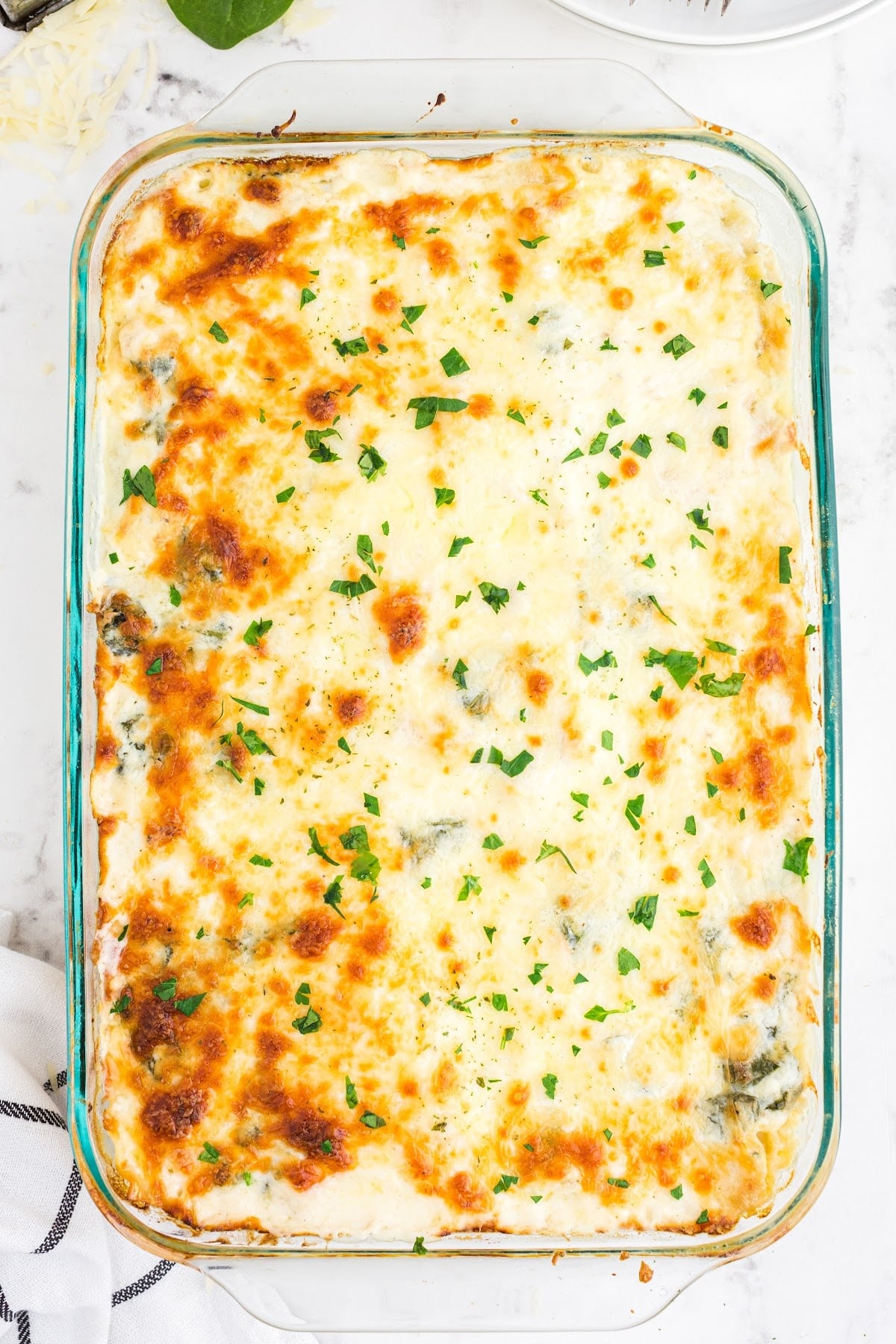 Baked white chicken lasagna in 13x9 dish.