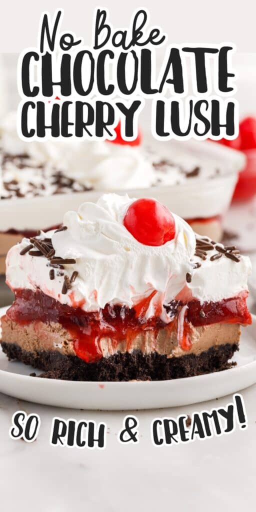 A slice of Chocolate Cherry Lush with a bite taken out of it.